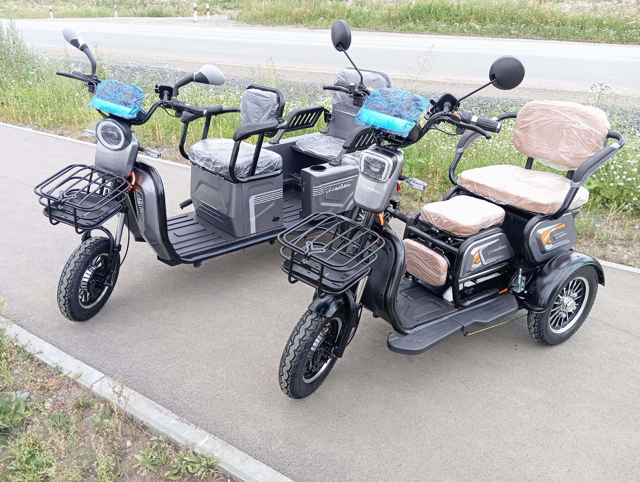 Муравей 16R Трансформер (1000W, Li-ion 48V 25Ah)